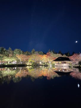 国営昭和記念公園 秋の夜散歩に投稿された画像（2023/11/20）