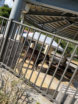 沖縄こどもの国に投稿された画像（2023/11/20）