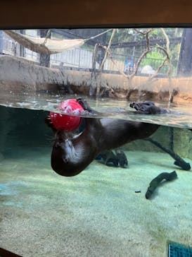 沖縄こどもの国に投稿された画像（2023/11/20）