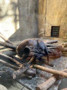 沖縄こどもの国に投稿された画像（2023/11/20）