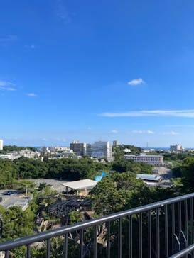 沖縄こどもの国に投稿された画像（2023/11/20）