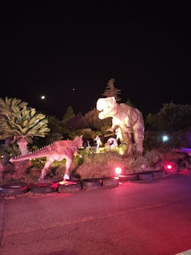 伊豆ぐらんぱる公園に投稿された画像（2023/11/20）