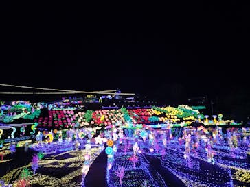 伊豆ぐらんぱる公園に投稿された画像（2023/11/20）