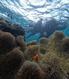 宮古島 ADVENTURE PiPi（ミヤコジマ アドベンチャー ピピ）に投稿された画像（2023/11/20）