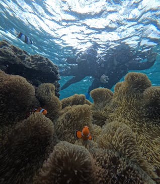 宮古島 ADVENTURE PiPi（ミヤコジマ アドベンチャー ピピ）に投稿された画像（2023/11/20）