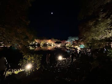 国営昭和記念公園 秋の夜散歩に投稿された画像（2023/11/20）