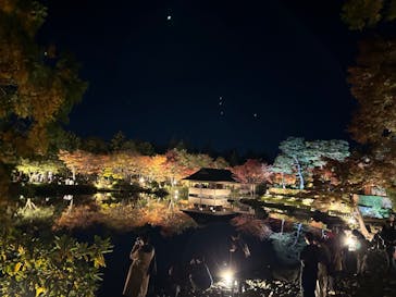 国営昭和記念公園 秋の夜散歩に投稿された画像（2023/11/20）
