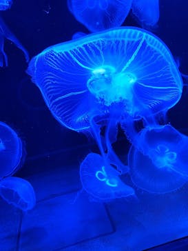 AOAO SAPPOROに投稿された画像（2023/11/20）