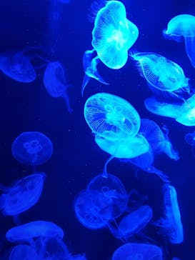 AOAO SAPPOROに投稿された画像（2023/11/20）