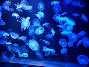 AOAO SAPPOROに投稿された画像（2023/11/20）