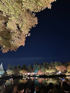 国営昭和記念公園 秋の夜散歩に投稿された画像（2023/11/20）