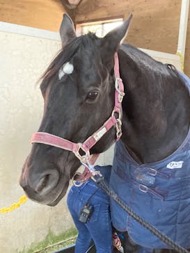 ノーザンホースパークに投稿された画像（2023/11/20）