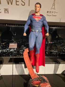 横浜ランドマークタワー 69階展望フロア スカイガーデンに投稿された画像（2023/11/20）