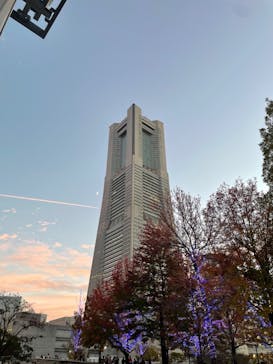 横浜ランドマークタワー 69階展望フロア スカイガーデンに投稿された画像（2023/11/20）