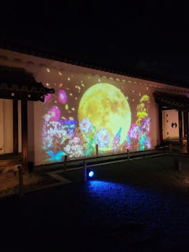 NAKED meets 二条城 2025 観月に投稿された画像（2023/11/20）