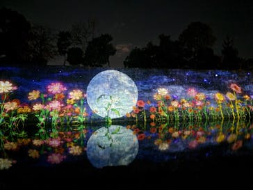 NAKED meets 二条城 2025 観月に投稿された画像（2023/11/20）