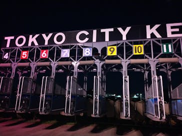 東京メガイルミに投稿された画像（2023/11/20）