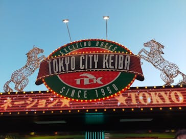 東京メガイルミに投稿された画像（2023/11/20）