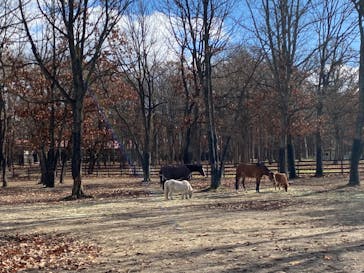 ノーザンホースパークに投稿された画像（2023/11/20）