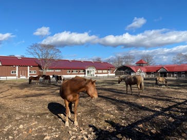 ノーザンホースパークに投稿された画像（2023/11/20）