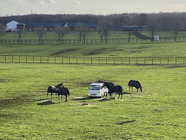 ノーザンホースパークに投稿された画像（2023/11/20）