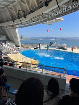 マリンワールド海の中道に投稿された画像（2023/11/20）