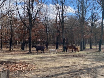 ノーザンホースパークに投稿された画像（2023/11/20）