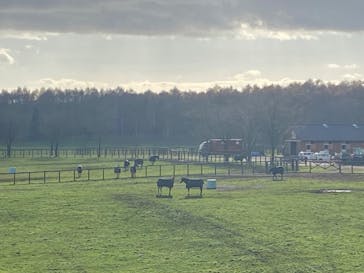 ノーザンホースパークに投稿された画像（2023/11/20）