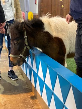 ノーザンホースパークに投稿された画像（2023/11/20）