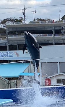 越前松島水族館に投稿された画像（2023/11/21）