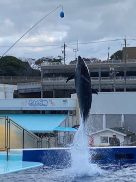 越前松島水族館に投稿された画像（2023/11/21）