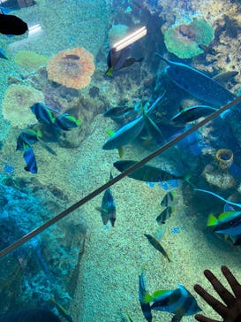 越前松島水族館に投稿された画像（2023/11/21）