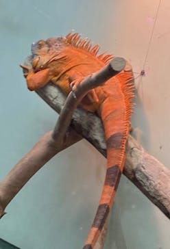 越前松島水族館に投稿された画像（2023/11/21）