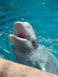 名古屋港水族館に投稿された画像（2023/11/21）