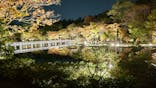 国営昭和記念公園 秋の夜散歩に投稿された画像（2023/11/21）