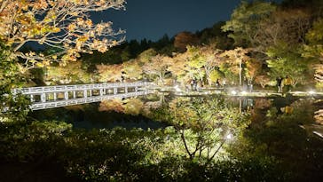 国営昭和記念公園 秋の夜散歩に投稿された画像（2023/11/21）