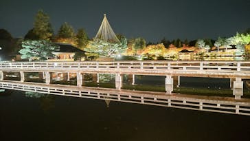 国営昭和記念公園 秋の夜散歩に投稿された画像（2023/11/21）