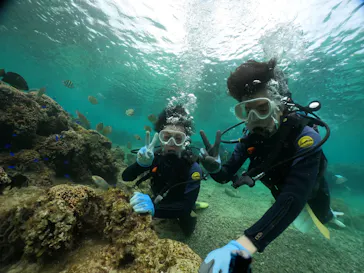 武藤潜水に投稿された画像（2023/11/21）
