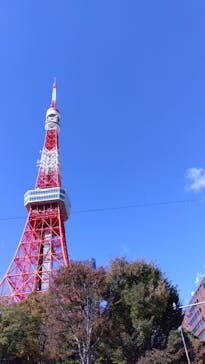 東京タワーに投稿された画像（2023/11/21）