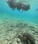 宮古島 ADVENTURE PiPi（ミヤコジマ アドベンチャー ピピ）に投稿された画像（2023/11/21）