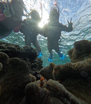 宮古島 ADVENTURE PiPi（ミヤコジマ アドベンチャー ピピ）に投稿された画像（2023/11/21）