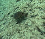 宮古島 ADVENTURE PiPi（ミヤコジマ アドベンチャー ピピ）に投稿された画像（2023/11/21）