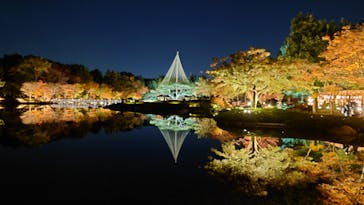 国営昭和記念公園 秋の夜散歩に投稿された画像（2023/11/21）