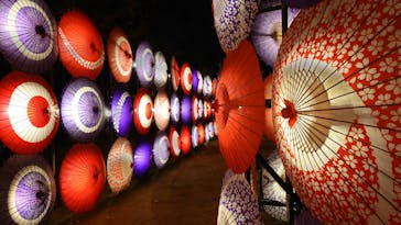 国営昭和記念公園 秋の夜散歩に投稿された画像（2023/11/21）