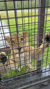 那須サファリパークに投稿された画像（2023/11/21）