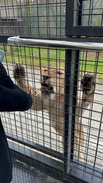 那須サファリパークに投稿された画像（2023/11/21）