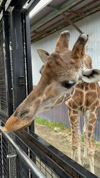 那須サファリパークに投稿された画像（2023/11/21）