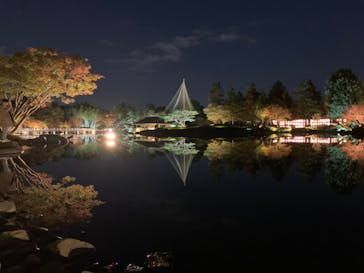 国営昭和記念公園 秋の夜散歩に投稿された画像（2023/11/21）