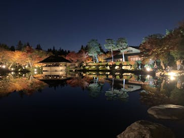 国営昭和記念公園 秋の夜散歩に投稿された画像（2023/11/21）