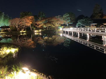 国営昭和記念公園 秋の夜散歩に投稿された画像（2023/11/21）